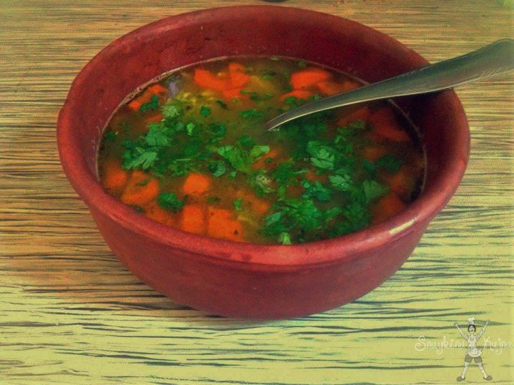 Brza supica